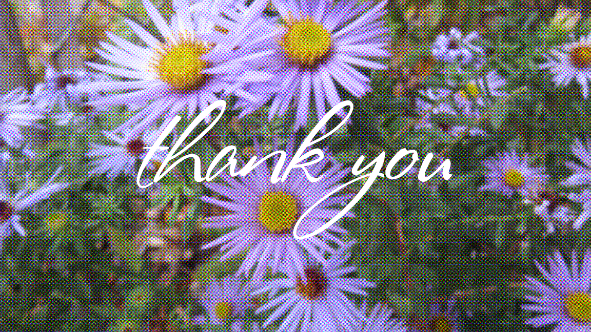 thank you